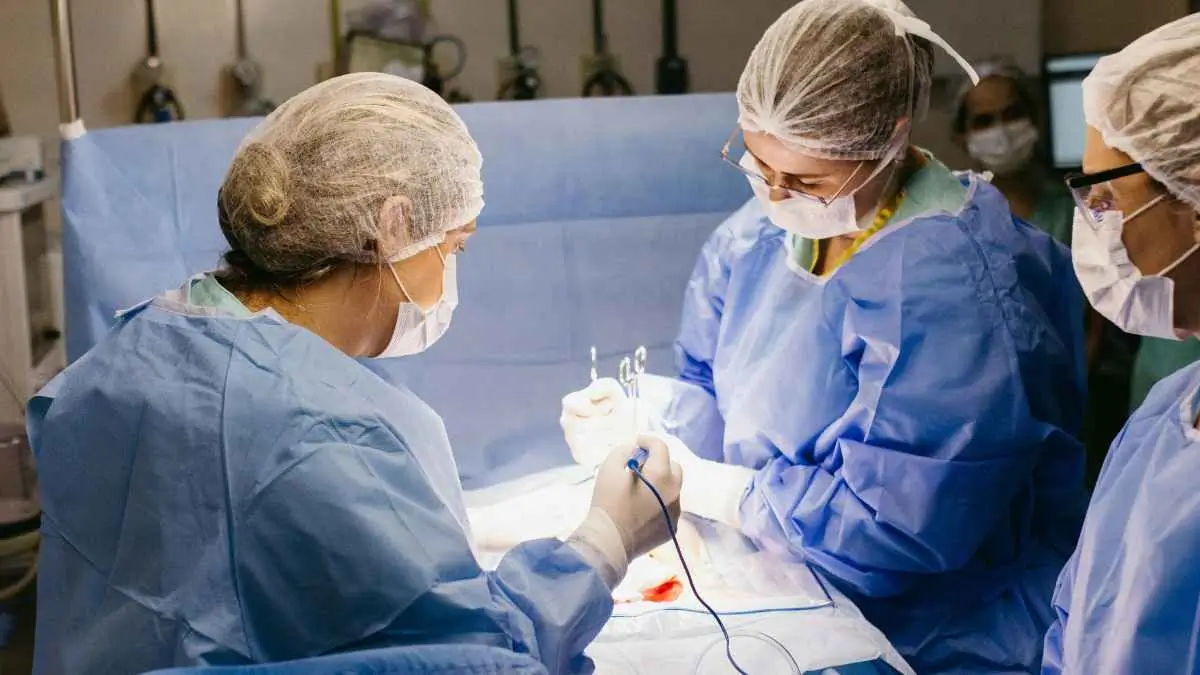 Why SEO for Plastic Surgeon Websites Is Better for Long-Term Marketing ROI